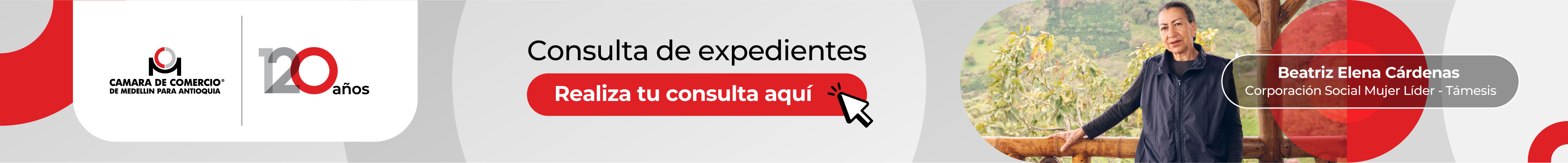 Consulta de Expedientes